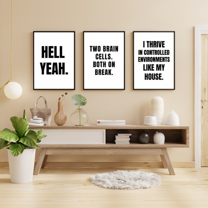 Domestic Chaos Bundle - Framed Premium Posters